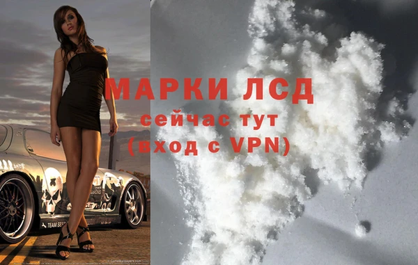 прущие грибы Алексин